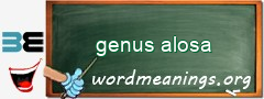 WordMeaning blackboard for genus alosa